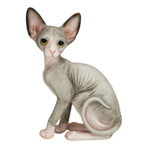Willis Judd, Cat, Cats, Sphynx Cat, Cat Sculpture, Hand-Painted, Cat Statue, Cat Figurine, Cat Collectible, Cat Lover, Sphynx