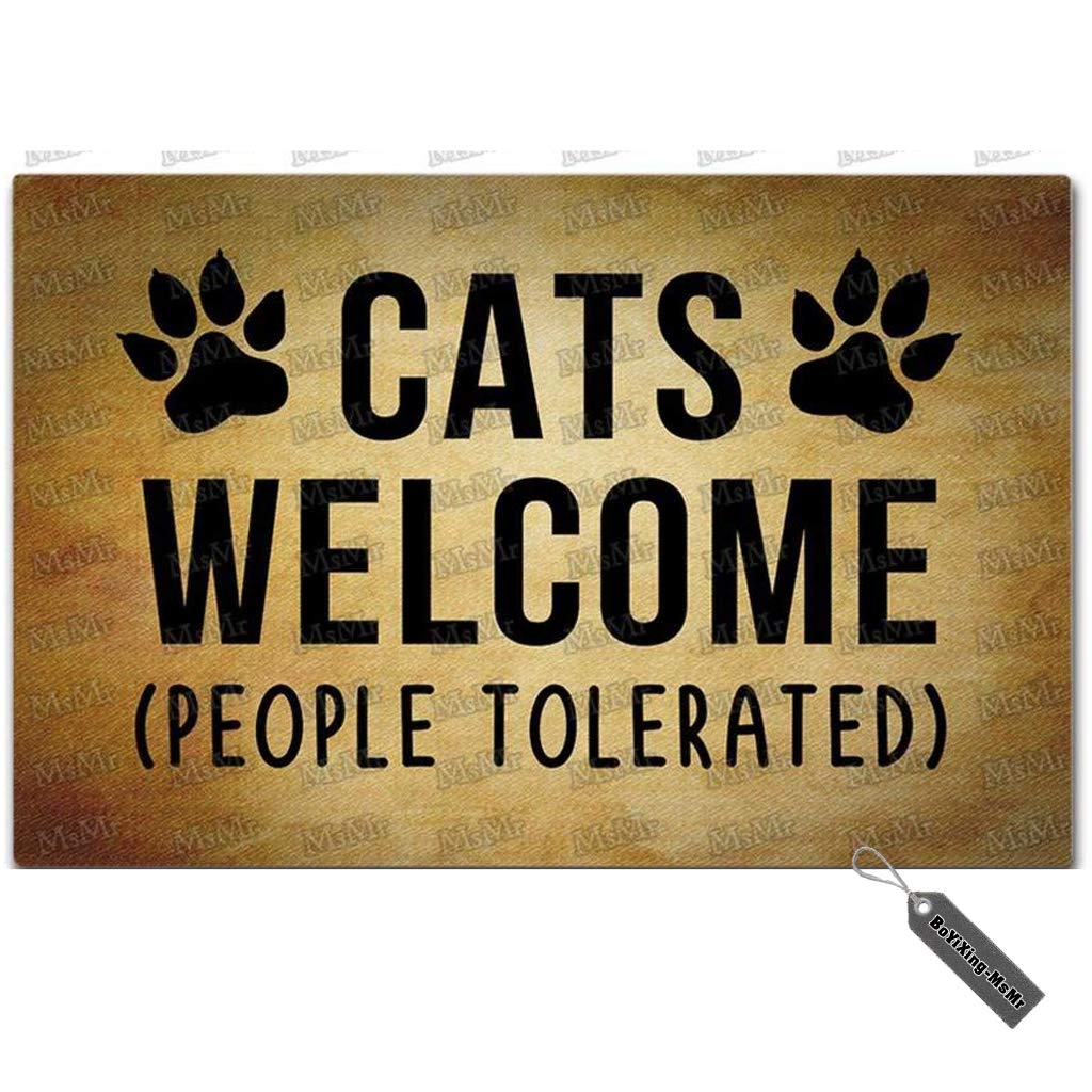 cat doormat, funny doormat, funny front door mat, cat mat